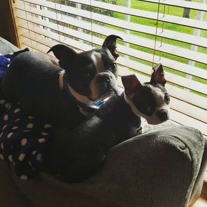 Meet your Posher, Lori